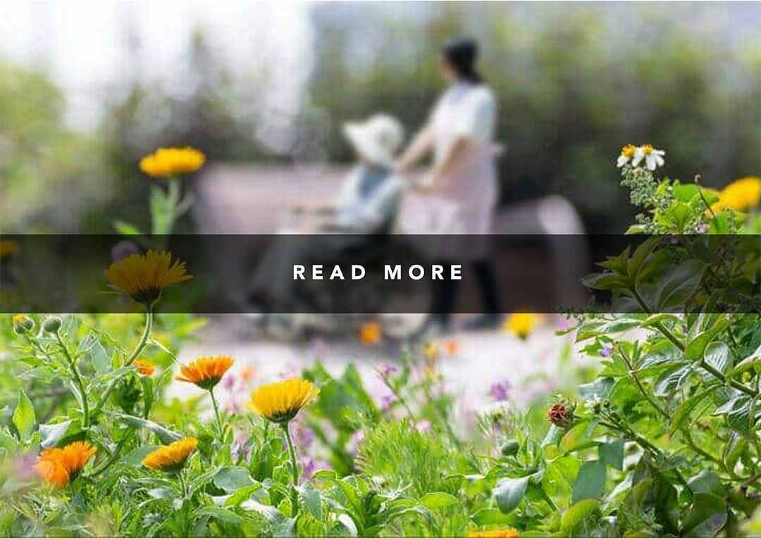Adapting Landed Properties for Singapore’s Ageing Population